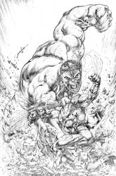 HULK vs WOLVERINE