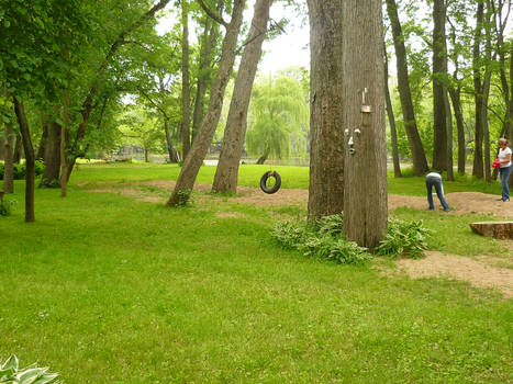 The Tire Swing