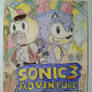 Sonic Adventure 3