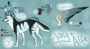 Jay Ref