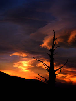 Sunset from StardateSI 6-02-11