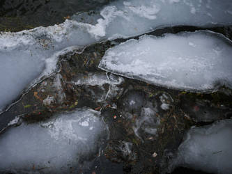 Cracked Ice and Seaweed