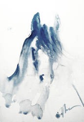 Horse sketch