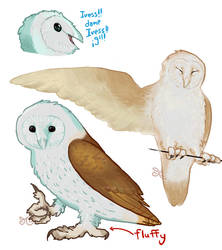 Jesus Christ was a Barn Owl !