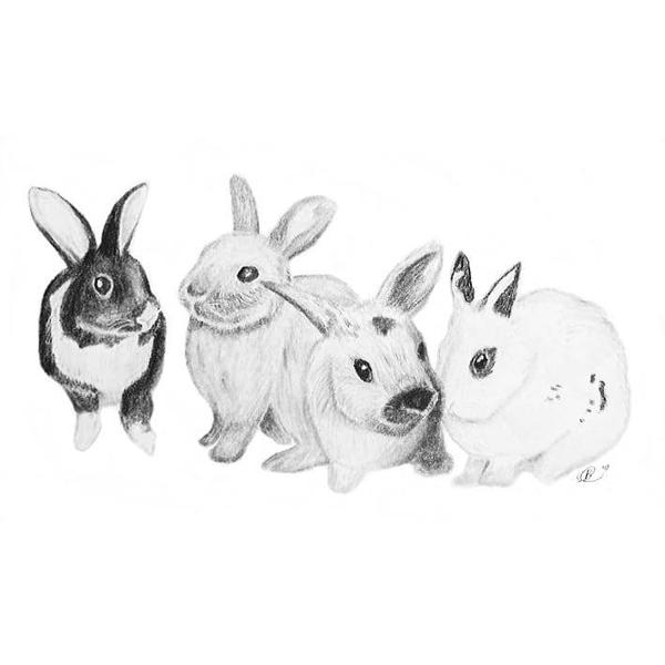 Run, Rabbits run by kiwi-illustrations on DeviantArt