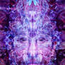 crystalline intelligence