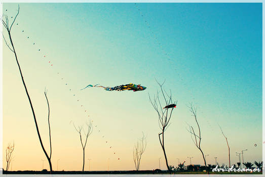 fish kite