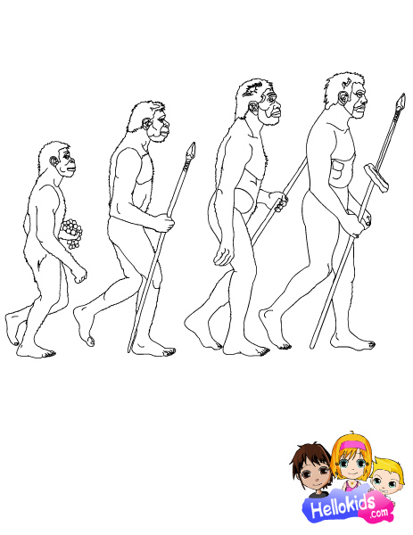 Stages of Man