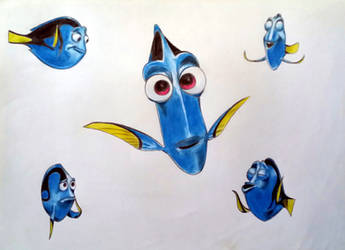 Dory