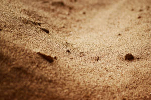 texture: sand