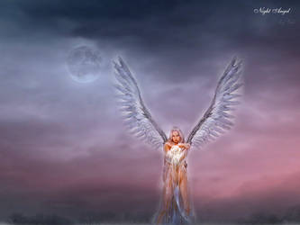 Night angel v1
