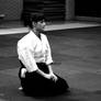 Aikido lesson