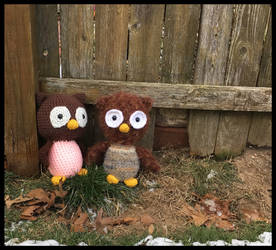 Owlice and Owlbert