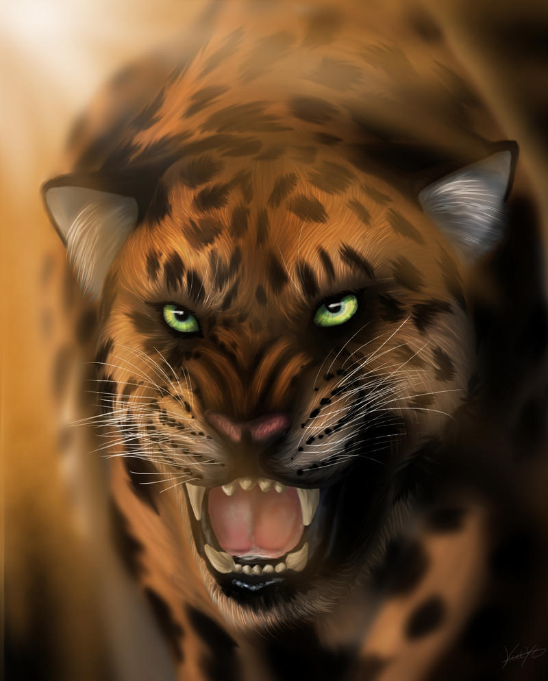 Deep Rage Cat Angry Cat by Golphee on DeviantArt
