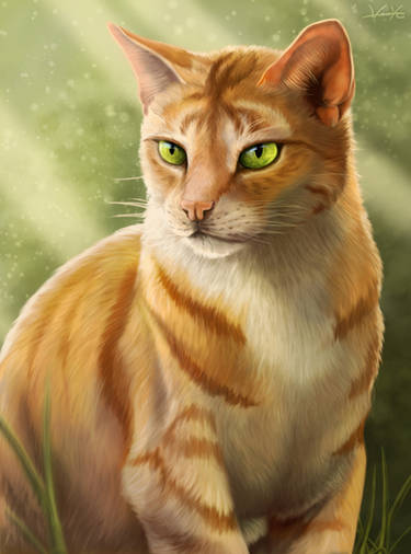Warrior Cats : Firestar by FeysCat on DeviantArt