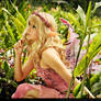 The Elven Fairy