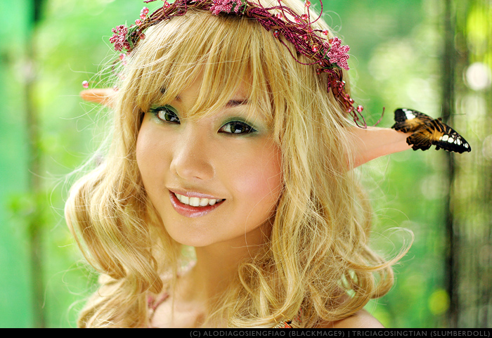 Butterfly