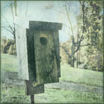 vintage birdhouse by Moon-Willow