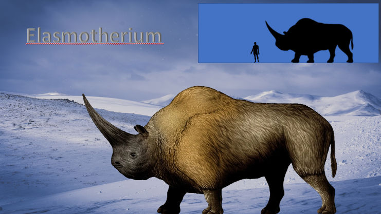 Elasmotherium By Zippyzoomy5 On DeviantArt elasmotherium-by-zippyzoomy5-on-deviantart
