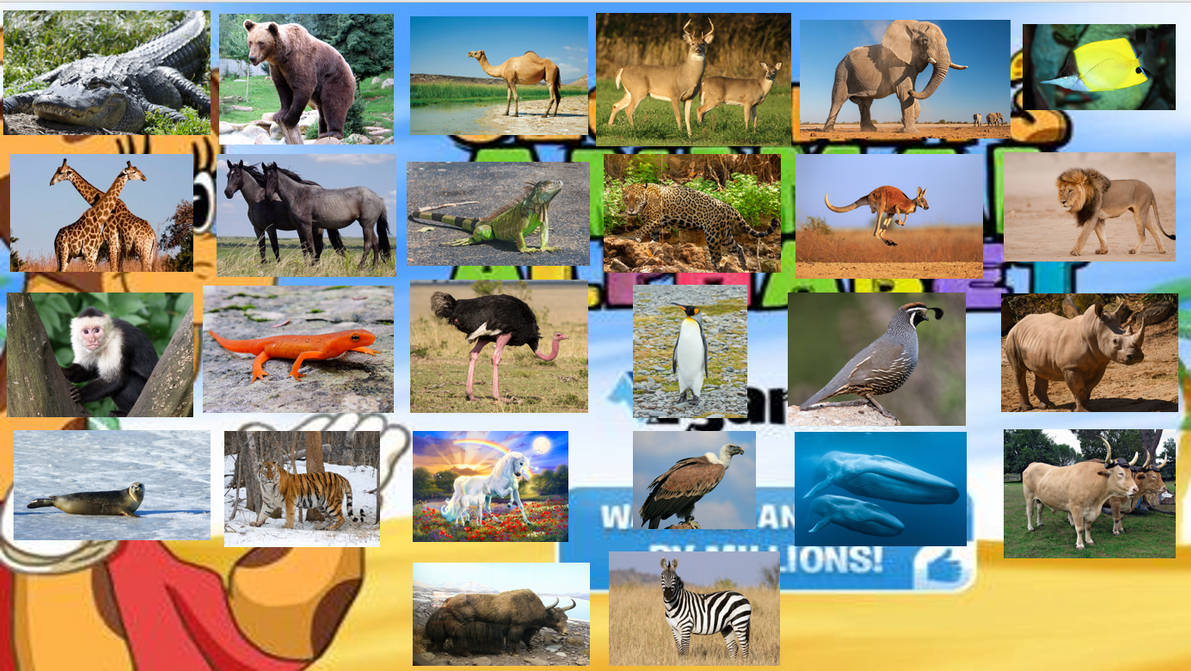 Geoffrey Giraffe Animal Alphabet by zippyzoomy5 on DeviantArt