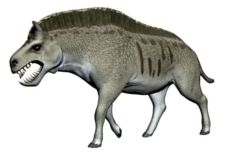 Daeodon by zippyzoomy5 on DeviantArt