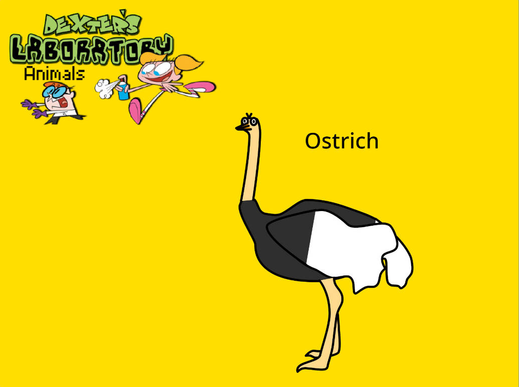 Dexter's Laboratory Animals: Ostrich by zippyzoomy5 on DeviantArt