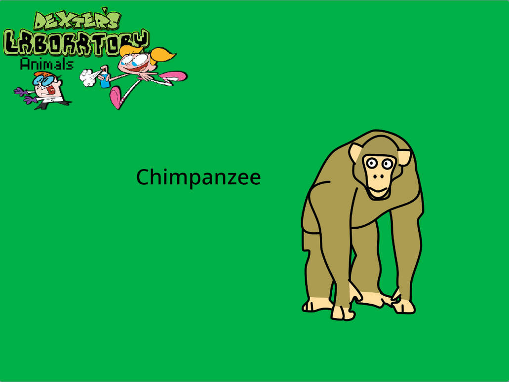 Dexter's Laboratory Animals: Chimpanzee by zippyzoomy5 on DeviantArt