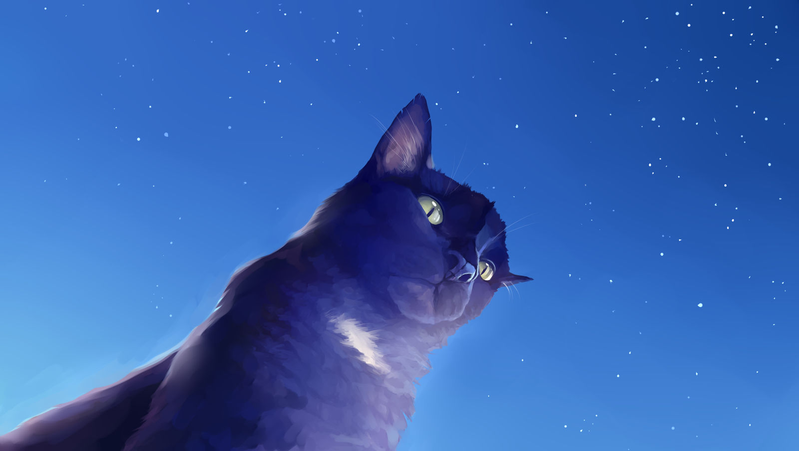 King Cat By Feliikat On DeviantArt king-cat-by-feliikat-on-deviantart