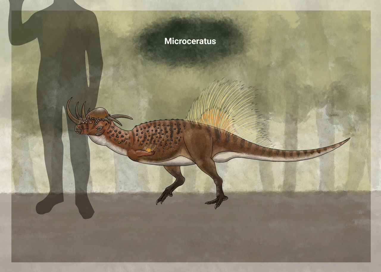 Microceratops Microceras by Noahsaurus51 on DeviantArt