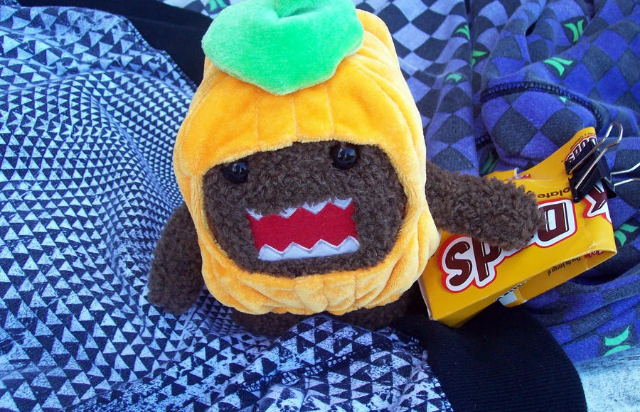 Pumpkin Domo Protects Duds