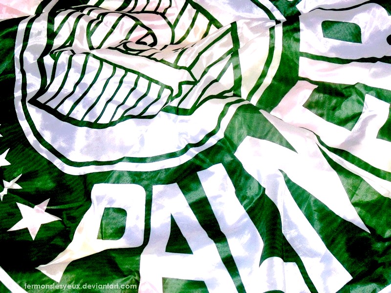 Palmeiras II