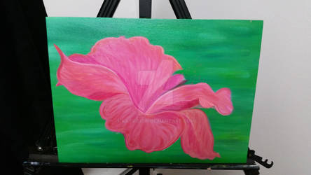 1st stage of Hibiscus