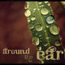 Around the Earth