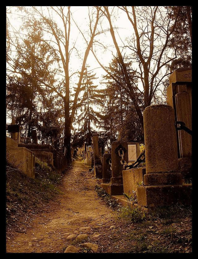 Cemetery: Path by Danutza88 on DeviantArt