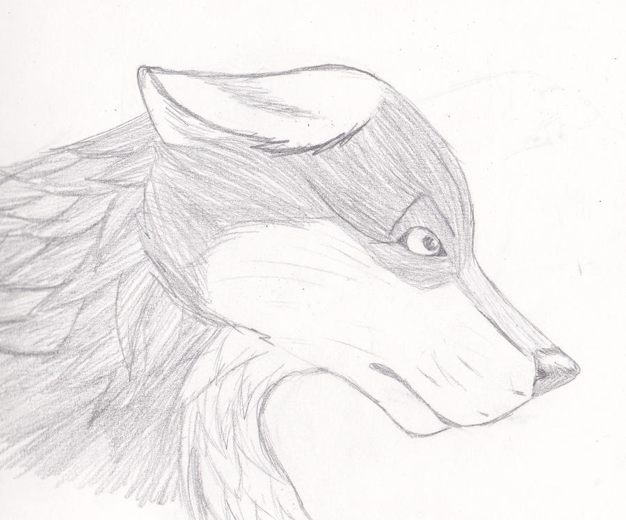 Lex By Inumaru101 On DeviantArt