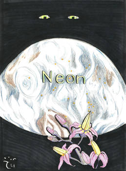 Cover Arwork for my novel Neon