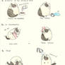 Cat daily care [Pusheen]