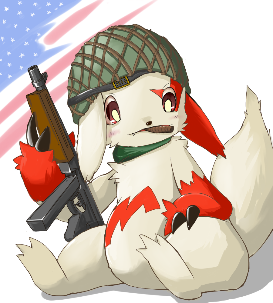 USA! Zangoose