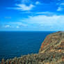 The Tower and the Ocean