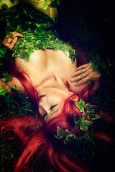 Poison Ivy Dreamy