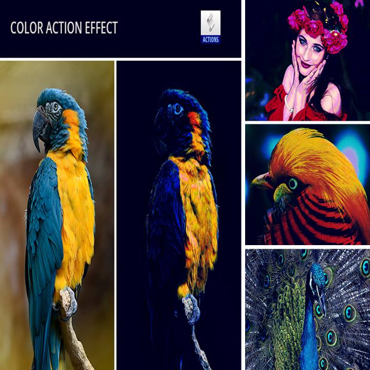 Color Effect Photoshop action by GraphixRiver on DeviantArt