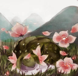 Shaymin Meadow