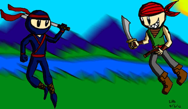 Pirate vs Ninja