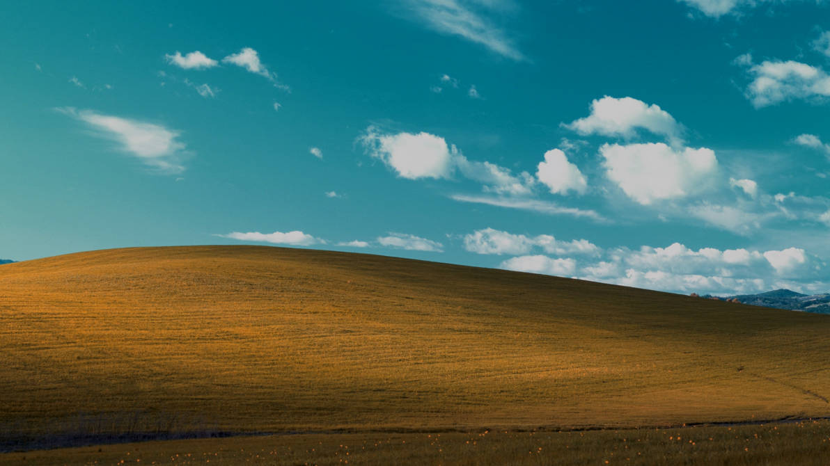 Windows XP Autumn Bliss Wallpaper by SamBox436 on DeviantArt