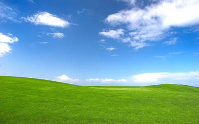 Windows XP MCE Bliss (Kinda) Wallpaper