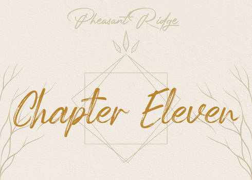 Chapter Eleven