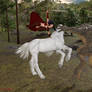 De riding Unicorn 4