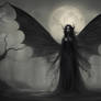 Dark Fairy