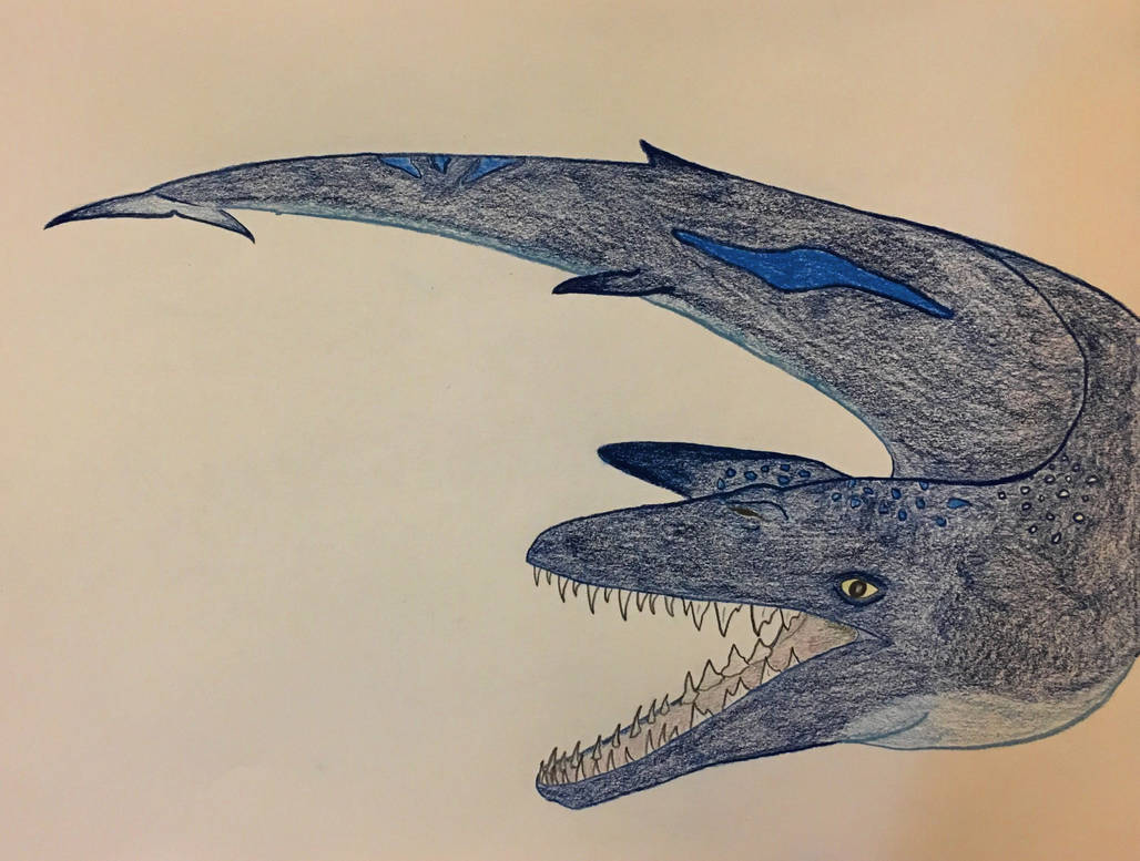 Basilosaurus Deviantart Basilosaurus by PaleonProductions on DeviantArt