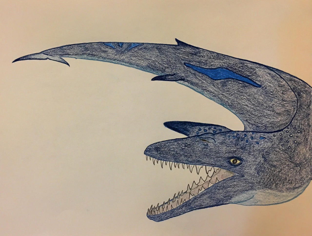 Basilosaurus Deviantart Basilosaurus by PaleonProductions on DeviantArt